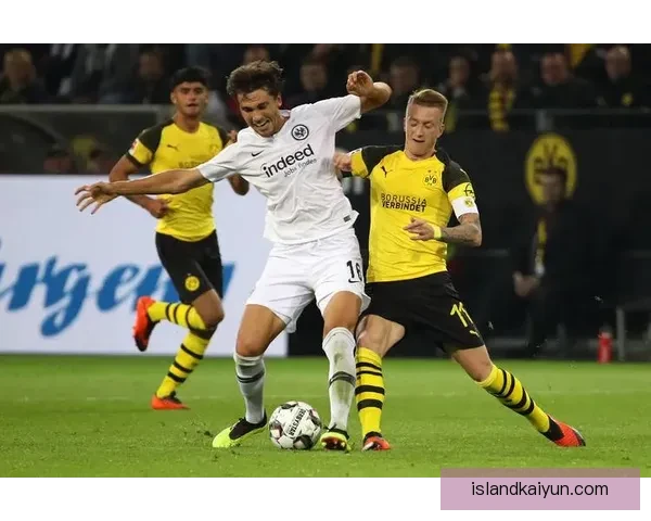 法兰克福进攻数据表现稳健，持续提升球队竞争力分析